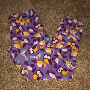 Lularoe Leggings Tall & Curvy